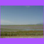 Causeway Out To Island.jpg